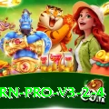 PKWin Earn Pro v3.2.4